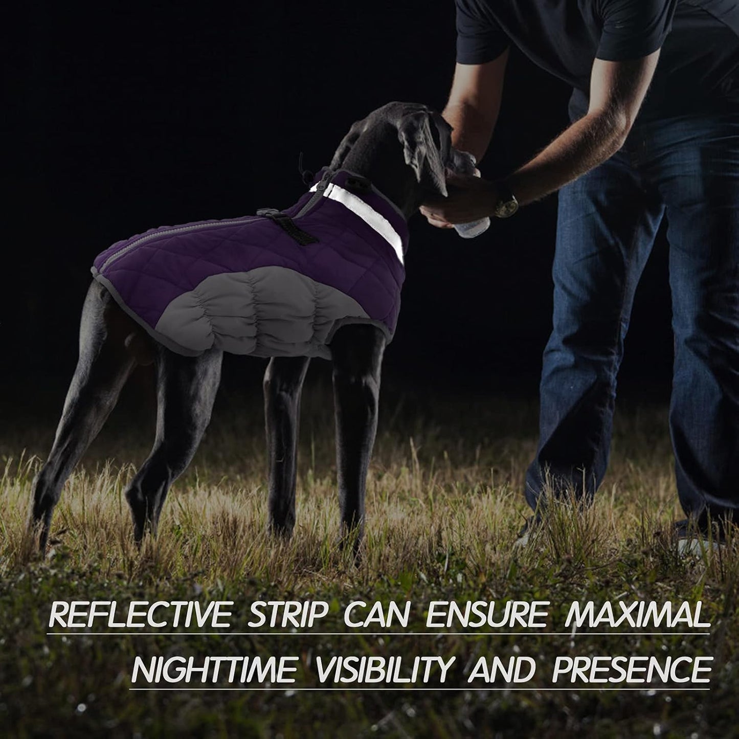 BowLift | SafeWalk Winter Harness Jacket – Waterproof dog jacket with reflection and fleece lining