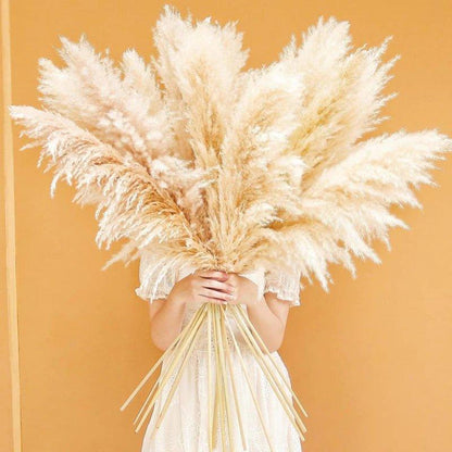 BowLift | 80 cm natural, real dried pampas grass bouquet (white / beige / gray) │ fluffy feather for modern boho home decor