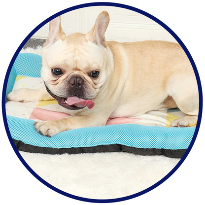 LZINA™ | Pet Silk Cooling Mat