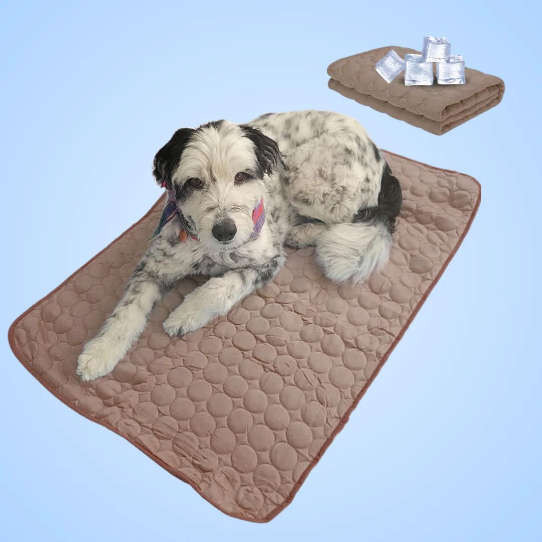 LZINA™ | COOLTAILS - Premium Cooling Mat