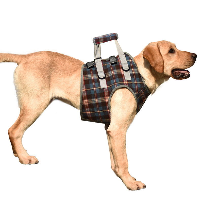 BowLift | Orthopedic Rear Leg Support Harness for Dogs – Ideal for Arthritis, Hip Dysplasia & Mobility Aid
