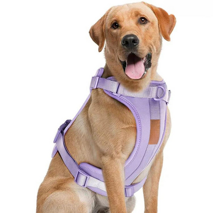 BowLift | ComfyPaws Dog Harness Walking Set with Leash and Poop Bag Holder