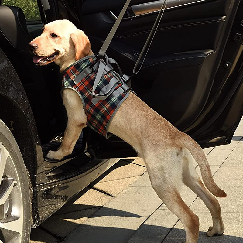 BowLift | Orthopedic Rear Leg Support Harness for Dogs – Ideal for Arthritis, Hip Dysplasia & Mobility Aid