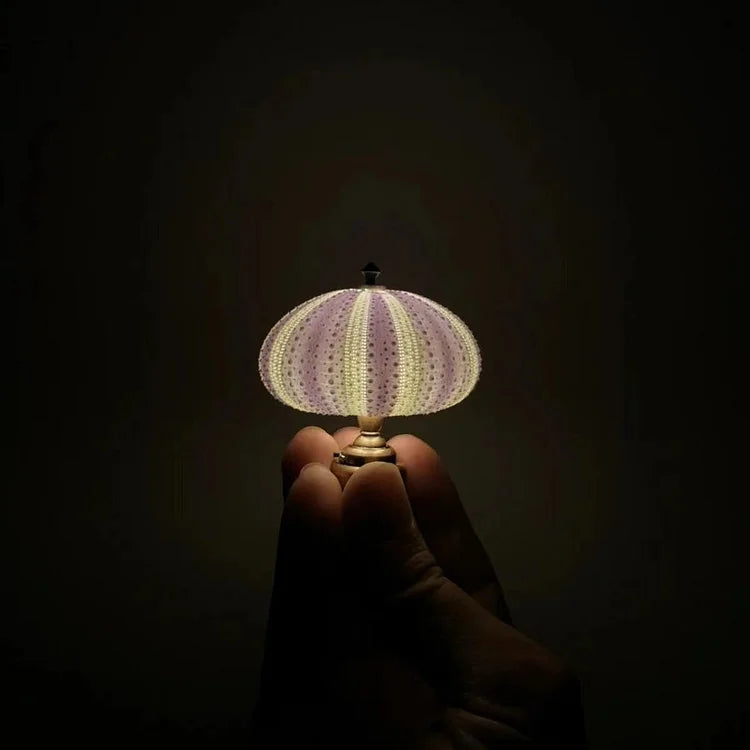 BowLift | LumiCraft – One-of-a-kind DIY Table Lamp with Natural Seashells for Cozy Décor
