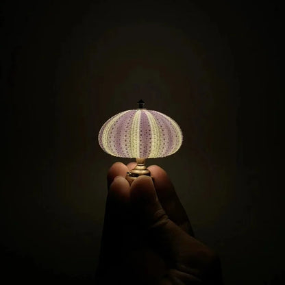 BowLift | LumiCraft – One-of-a-kind DIY Table Lamp with Natural Seashells for Cozy Décor