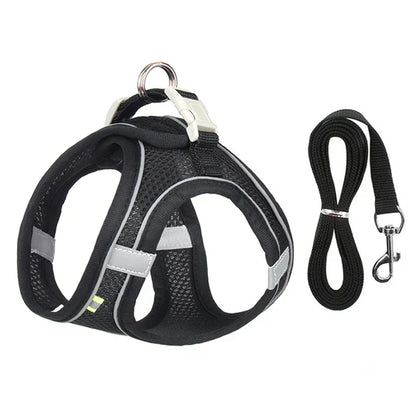 Adventurous Cat Harness with Leash – Adjustable and Reflective | Bowlift