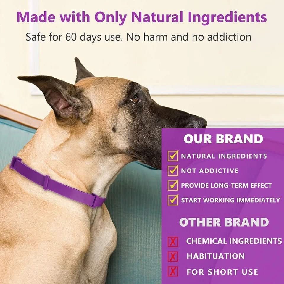 BowLift | Calming collar with pheromones for relaxed dogs