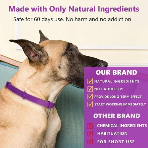 BowLift | Calming collar with pheromones for relaxed dogs
