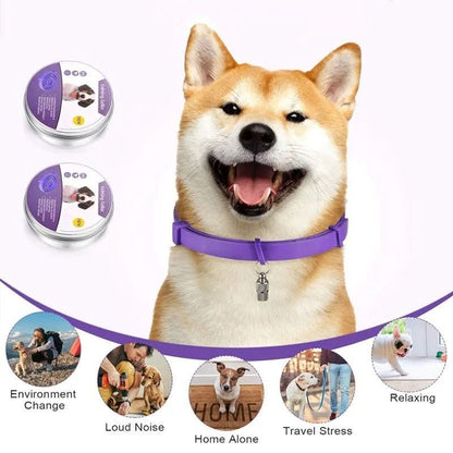 BowLift | CALMDOG – Calming collar with pheromones & essential oils for dogs