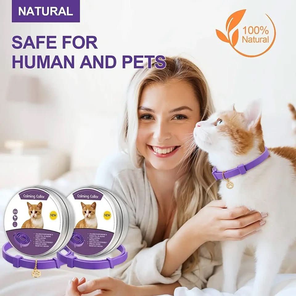 BowLift | CALMDOG – Calming collar with pheromones & essential oils for dogs
