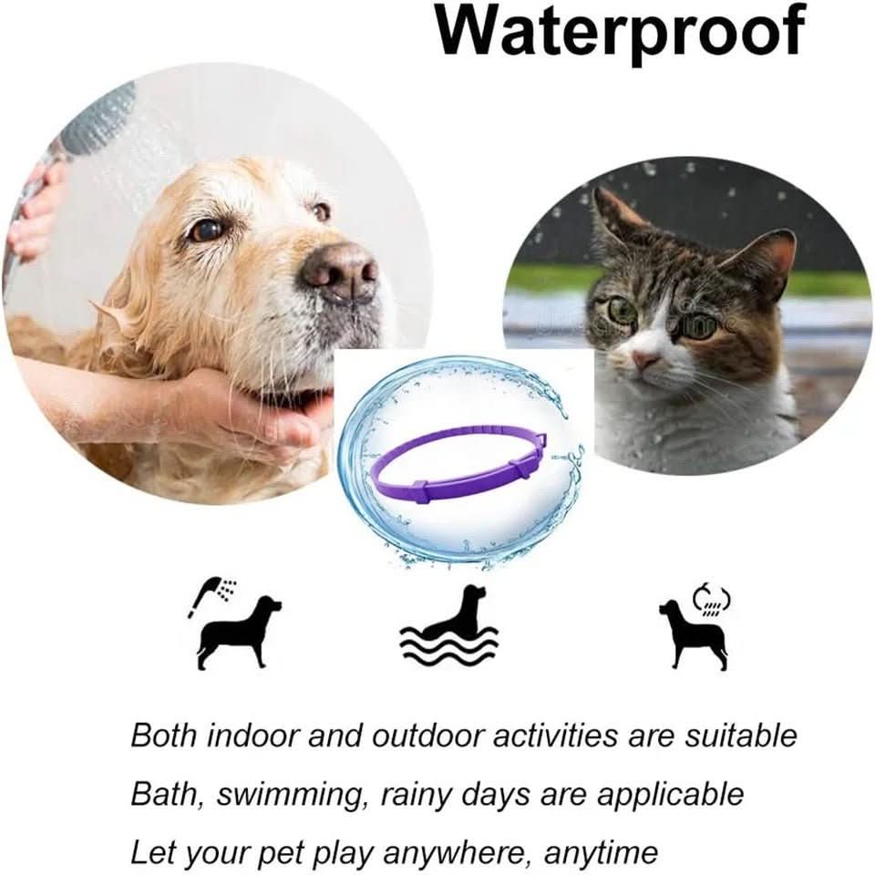 BowLift | CALMDOG – Calming collar with pheromones & essential oils for dogs
