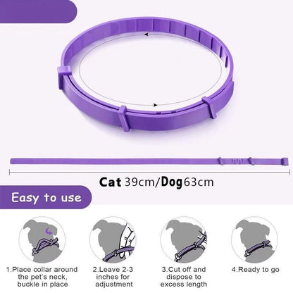 BowLift | Calming collar with pheromones & essential oils for dogs