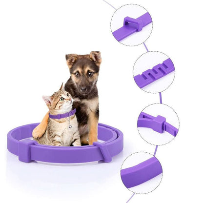 BowLift | CALMDOG – Calming collar with pheromones & essential oils for dogs