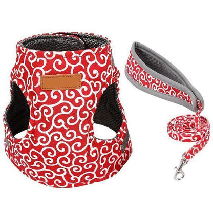 Collar jacket and leash for cat | Bowlift