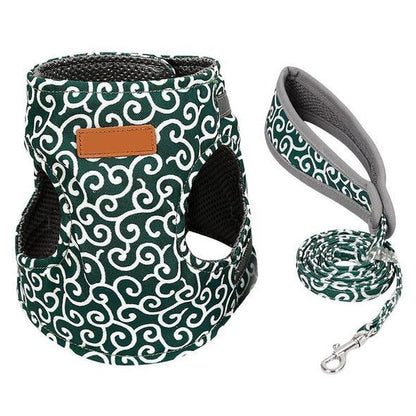 Collar jacket and leash for cat | Bowlift