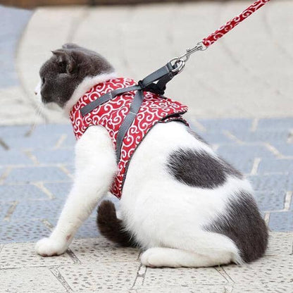BowLift | Cat vest harness and leash set for walks