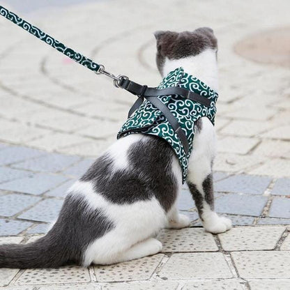 BowLift | Cat vest harness and leash set for walks