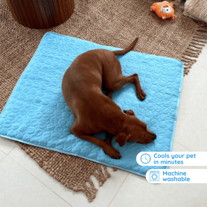 LZINA™ | Self-Cooling Mat for Four-Legged Friends Ideal for Hot Summer