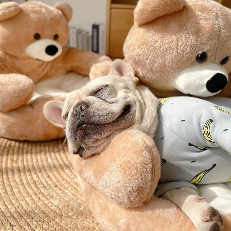BowLift | Cute detachable cuddly bear cat bed