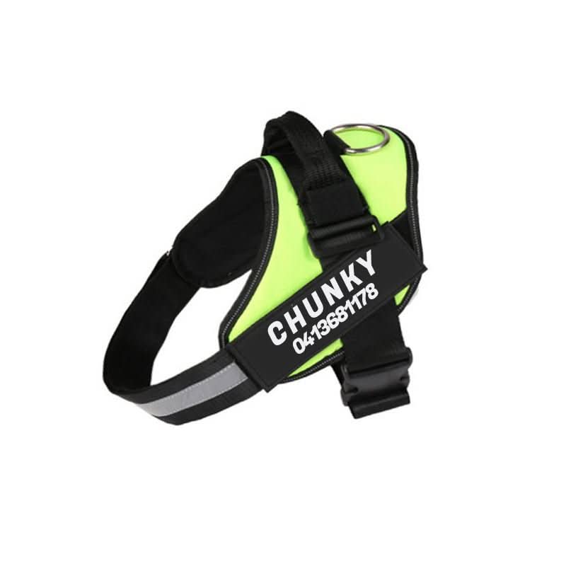 BowLift | DOGSAFE HARNESS – Safety dog harness with name tag & reflectors