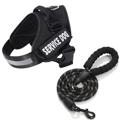 BowLift | Safety Dog Harness with Name Tag & Reflectors