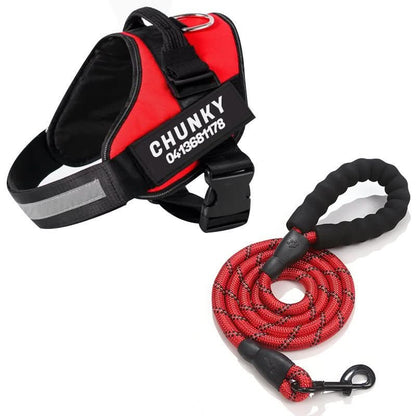 BowLift | Safety Dog Harness with Name Tag & Reflectors