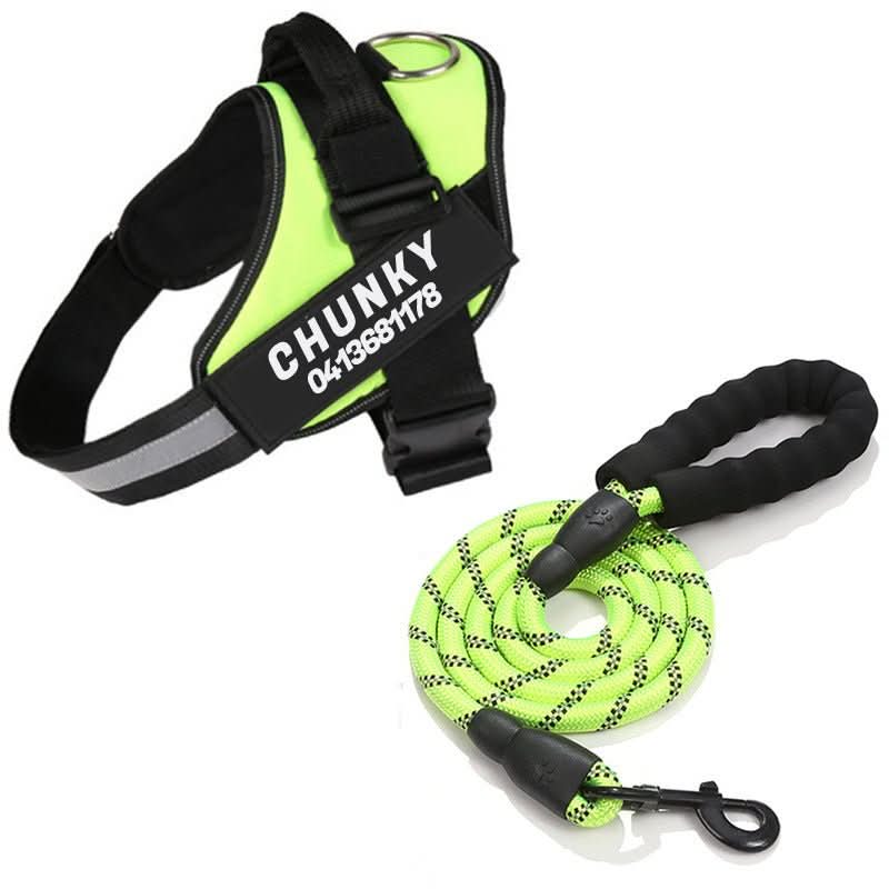 BowLift | DOGSAFE HARNESS – Safety dog harness with name tag & reflectors