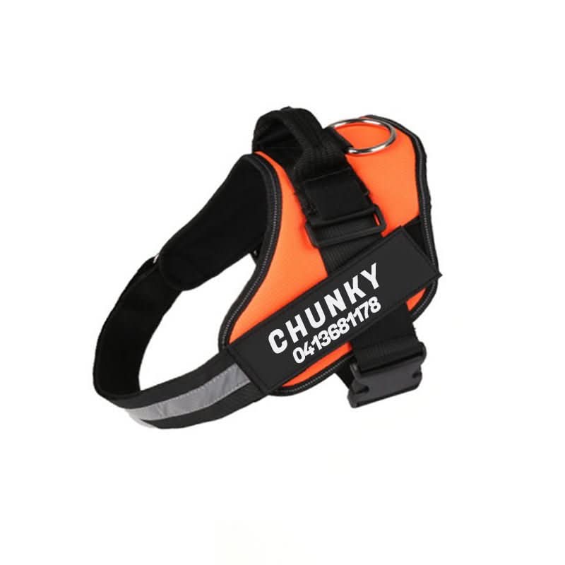 BowLift | Safety Dog Harness with Name Tag & Reflectors