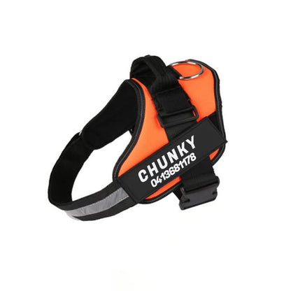 BowLift | Safety Dog Harness with Name Tag & Reflectors