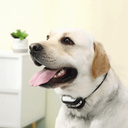BowLift | SafeZone Wireless Dog Fence & Training Collar – Rechargeable, Waterproof & Pet-Friendly Correction Modes