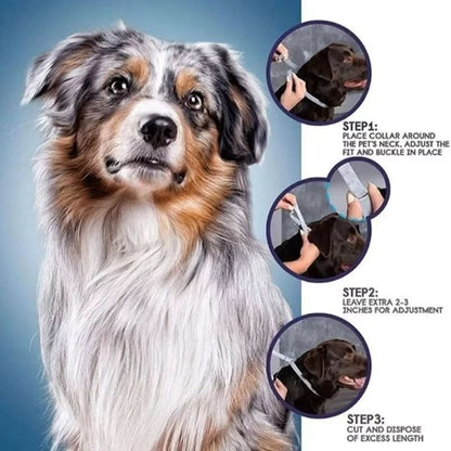 BowLift | PAWTECT - Anti-tick and flea collar