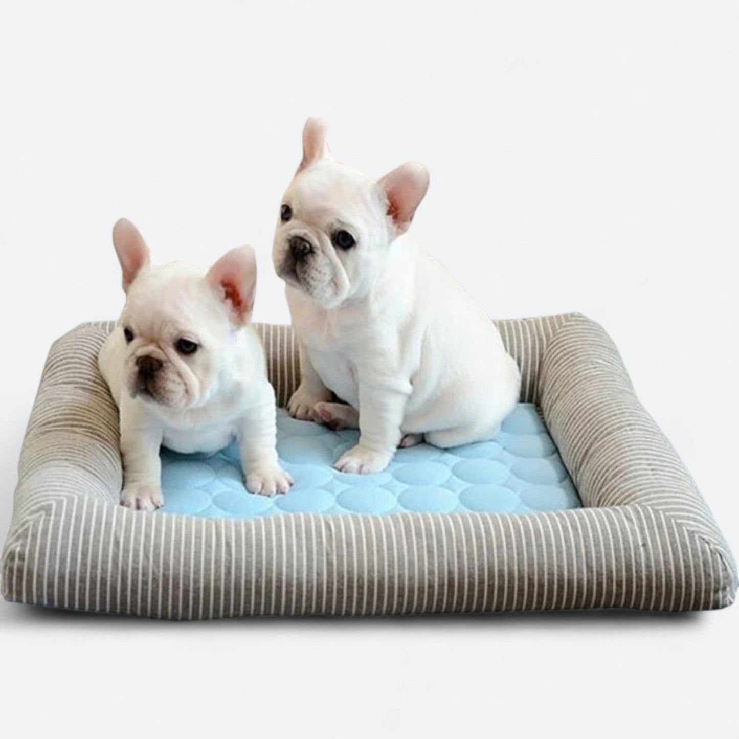 FurChill Frenchie Breathable Dog Bed – Cooling Mat with Non-Slip Base for Hot Days | Bowlift