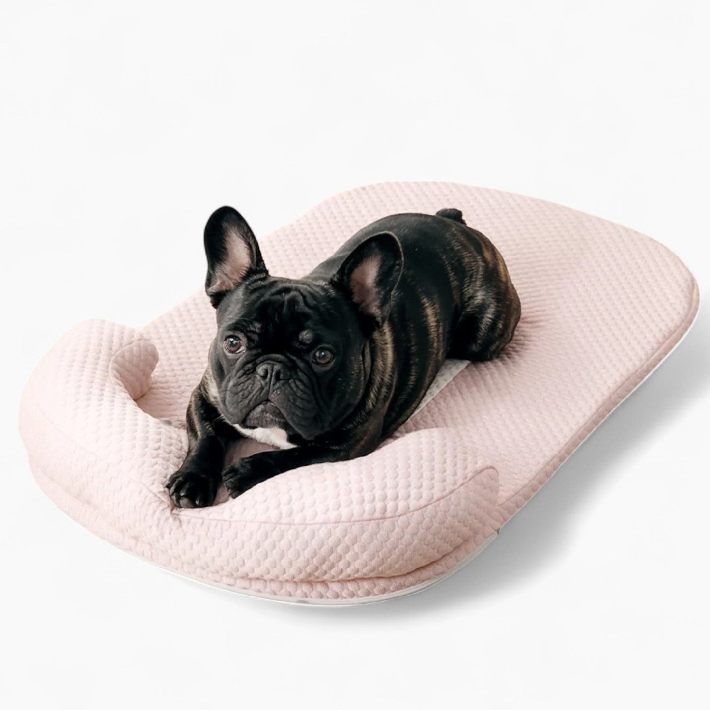 FurCool French Bulldog Cooling Mat – Breathable Washable Summer Silk Bed | Bowlift
