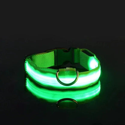 BowLift | LED Safety Dog Collar with Adjustable Fit