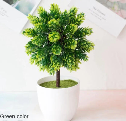 BowLift | Small Tree Pot Bonsai Plants