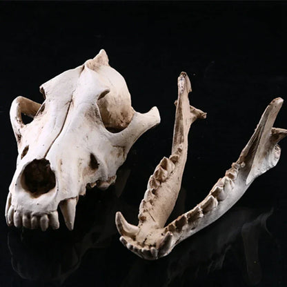 LZINA™ | Wolf Skull Sculpture Model