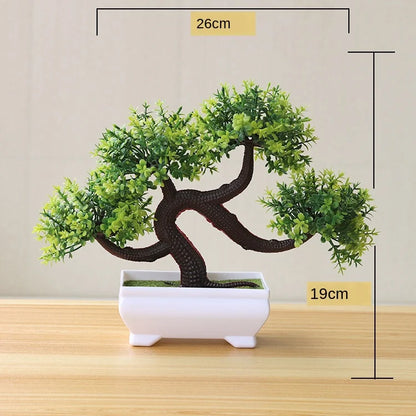 BowLift | Small Tree Pot Bonsai Plants