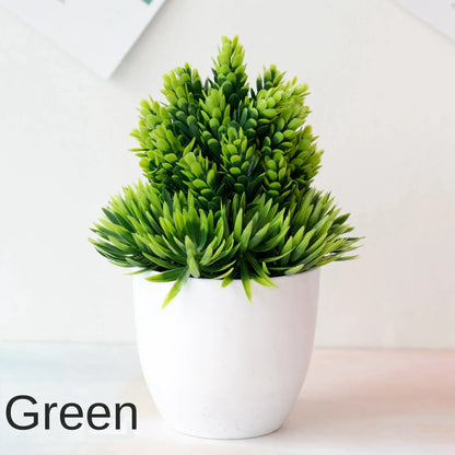 BowLift | Small Tree Pot Bonsai Plants
