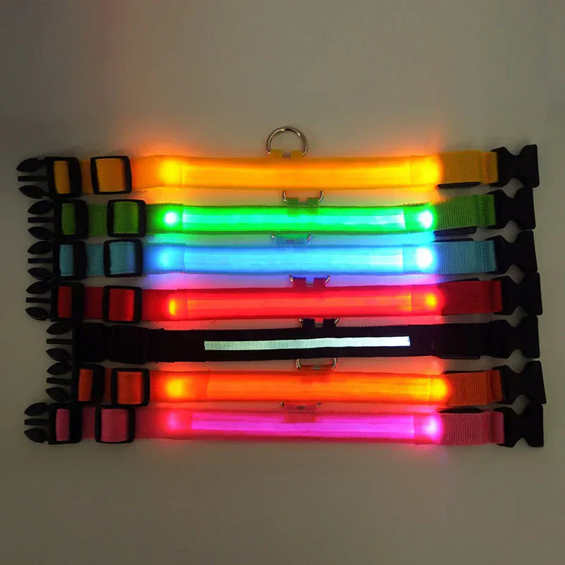 BowLift | GlowPets LED Collar – Safety & Visibility for Pets
