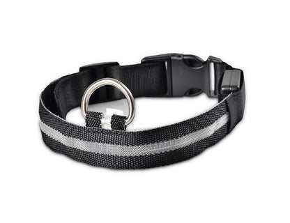 BowLift | GlowPets LED Collar – Safety & Visibility for Pets