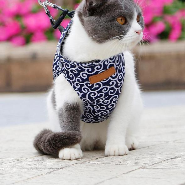 BowLift | Cat Vest Harness and Leash Set to Outdoor Walking