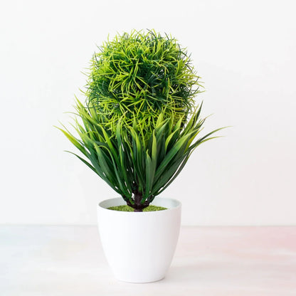 BowLift | Small Tree Pot Bonsai Plants