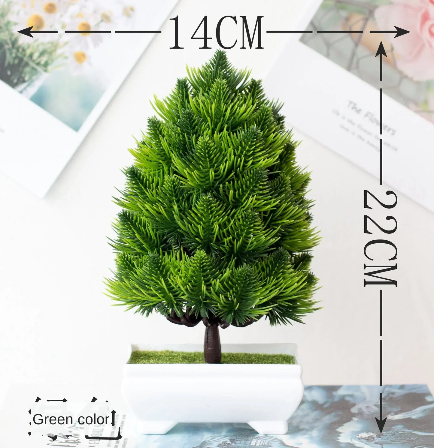 BowLift | Small Tree Pot Bonsai Plants