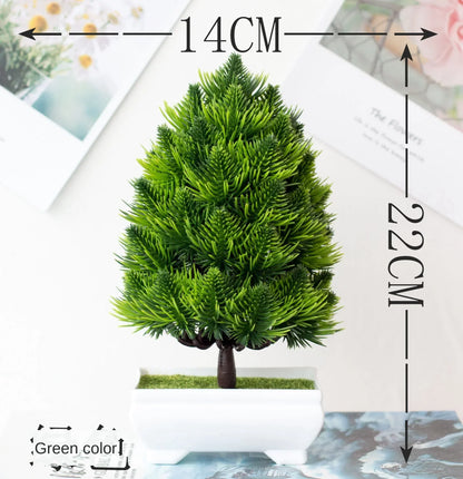 BowLift | Small Tree Pot Bonsai Plants