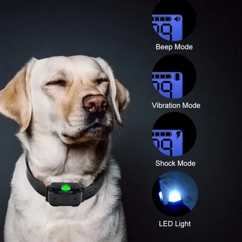 BowLift | Adjustable Electric Dog Training E-Collar – Safe, Effective Remote Control