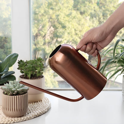 BowLift Stainless Steel Pourer: 1.5L Long-Handled Watering Can for Plants & Flowers