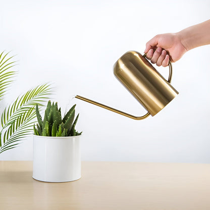 BowLift Stainless Steel Pourer: 1.5L Long-Handled Watering Can for Plants & Flowers