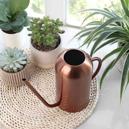BowLift Stainless Steel Pourer: 1.5L Long-Handled Watering Can for Plants & Flowers