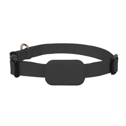 BowLift | AnimalTracker Mini – Smart Dog and Cat Bluetooth Collar Tracker