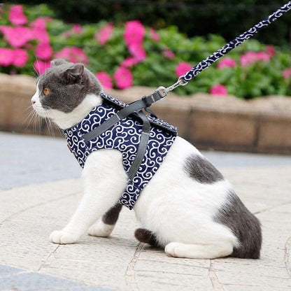 BowLift | Cat harness vest for safety & comfort
